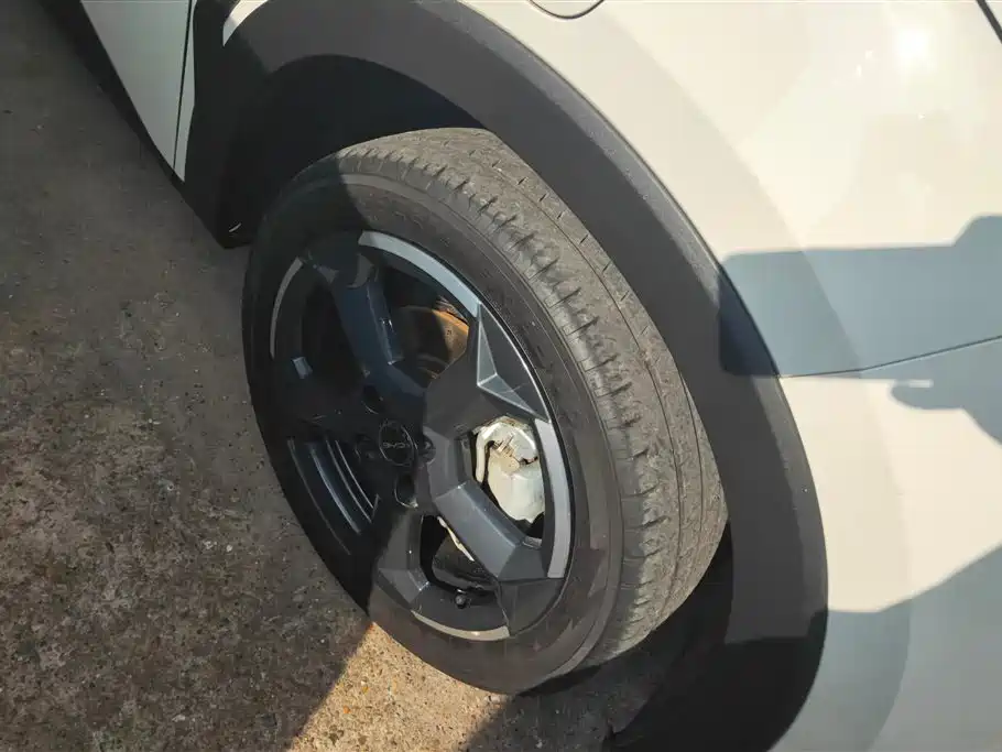 BYD Seagull 2023 Freedom