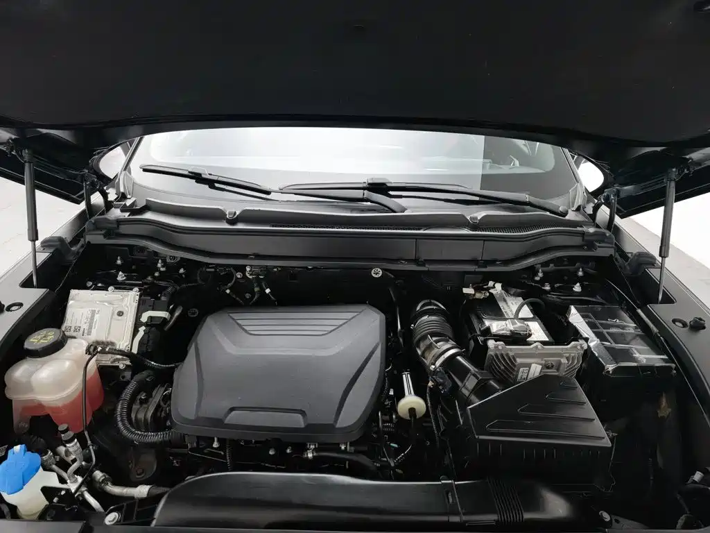 Haval Shenshou — миниатюра 6