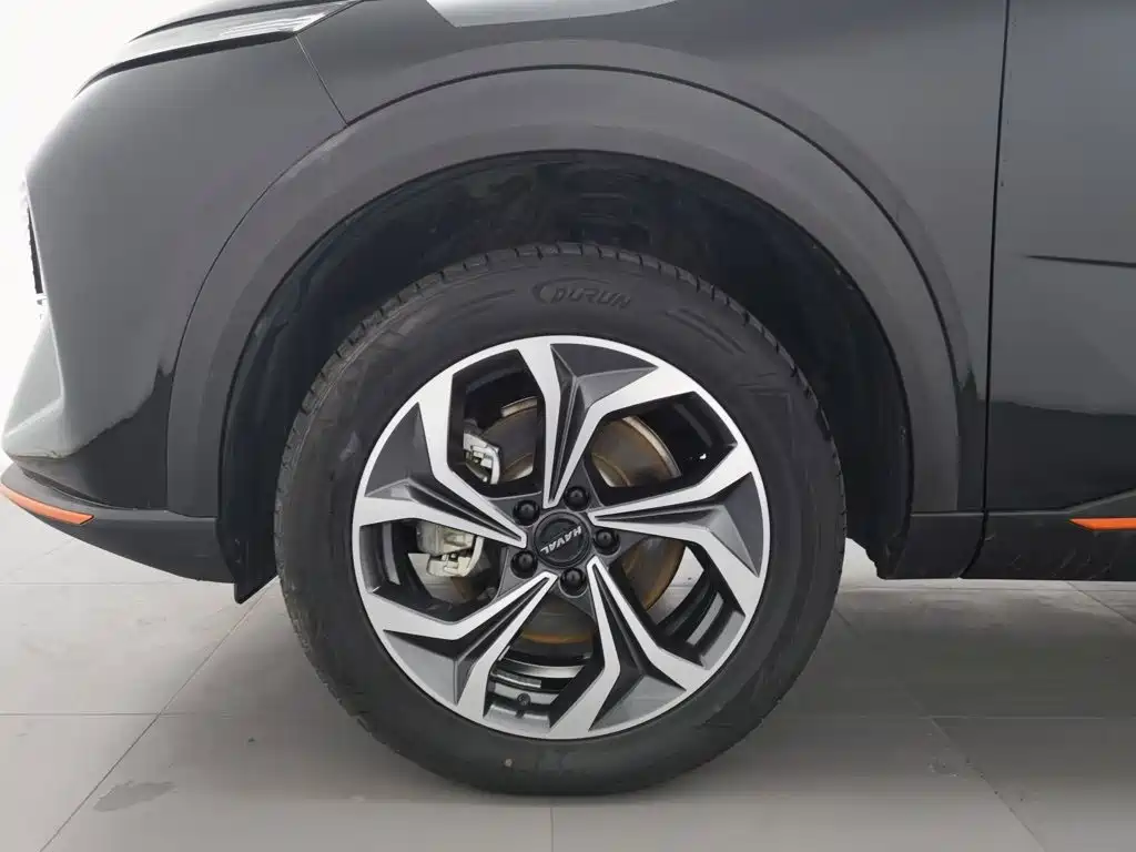 Haval Shenshou — миниатюра 17