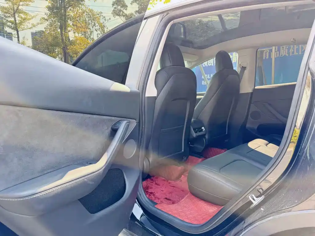Tesla Model Y — миниатюра 6