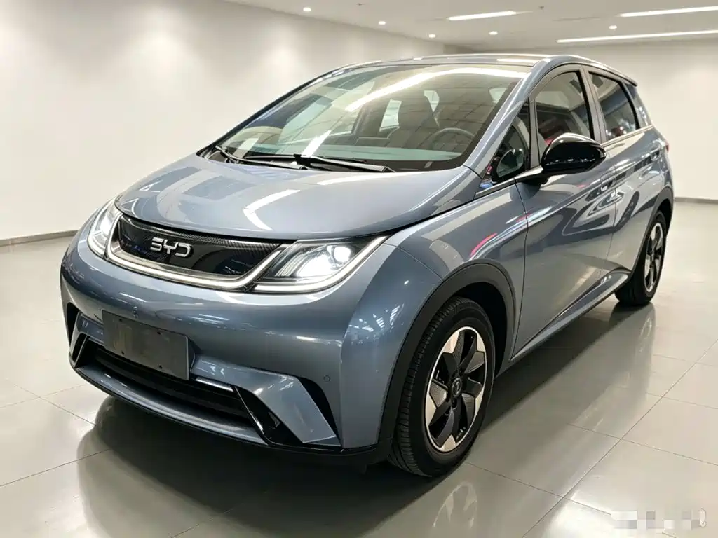 BYD Dolphin — миниатюра 2