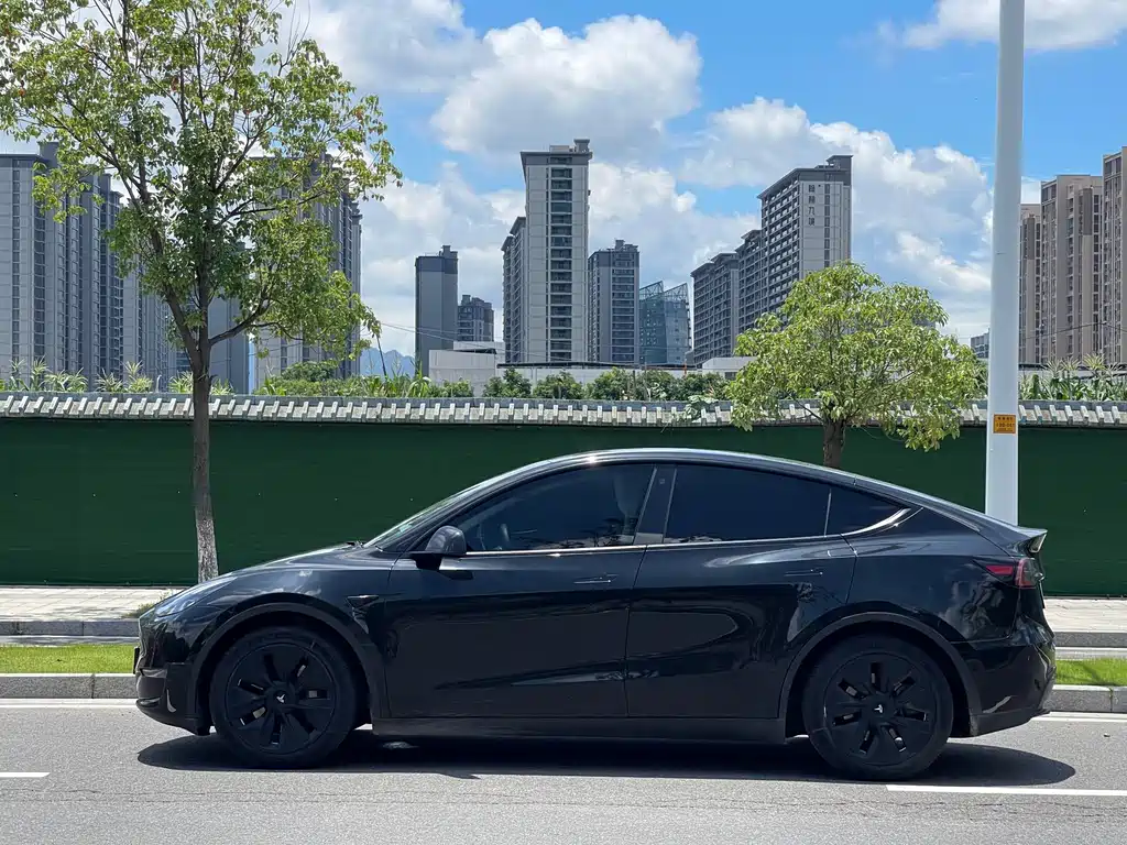 Tesla Model Y — фотографии объявления, Фото 14