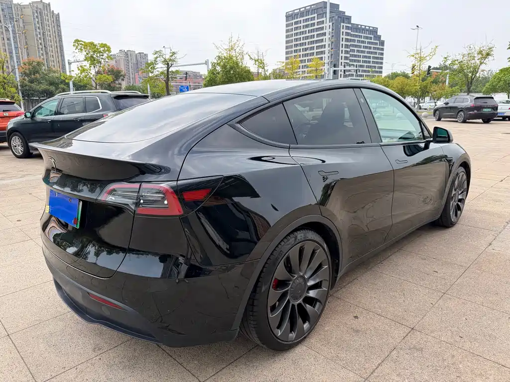 Tesla Model Y — миниатюра 5