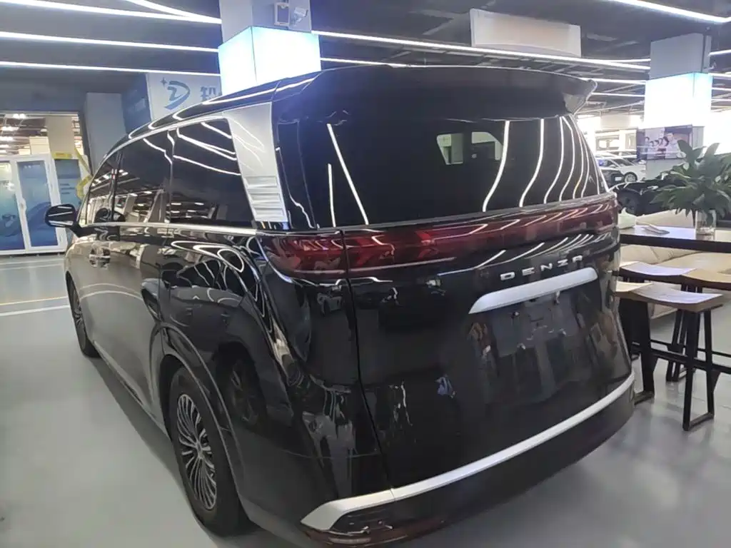 Denza Denza D9 — миниатюра 5