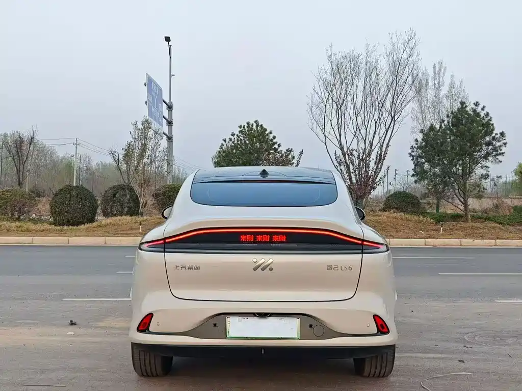 IM IM LS6 — миниатюра 8