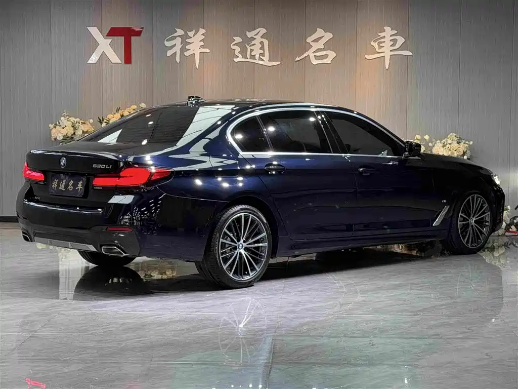BMW 5 Series 5 2022 530Li xDrive M Sport