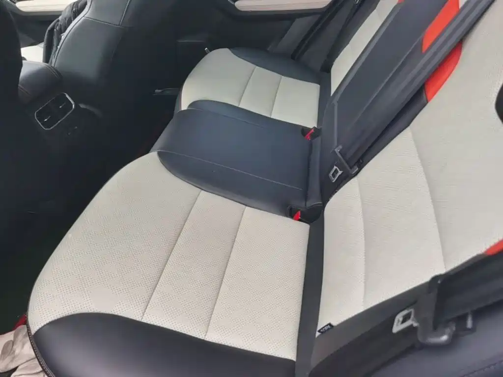 Haval Chitu — миниатюра 22