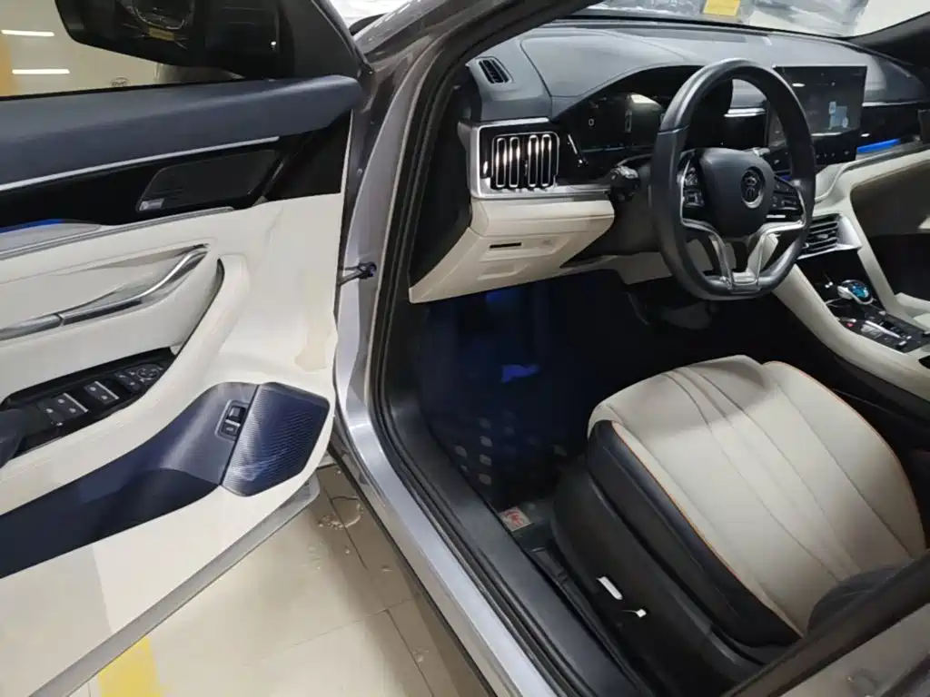 BYD PLUS New Energy — миниатюра 16