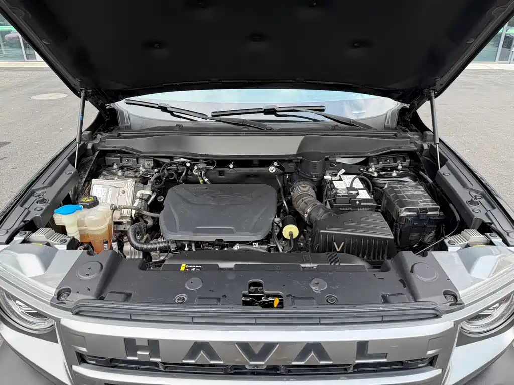 Haval Dargo 1.5T DCT Border Collie Edition, фото 16