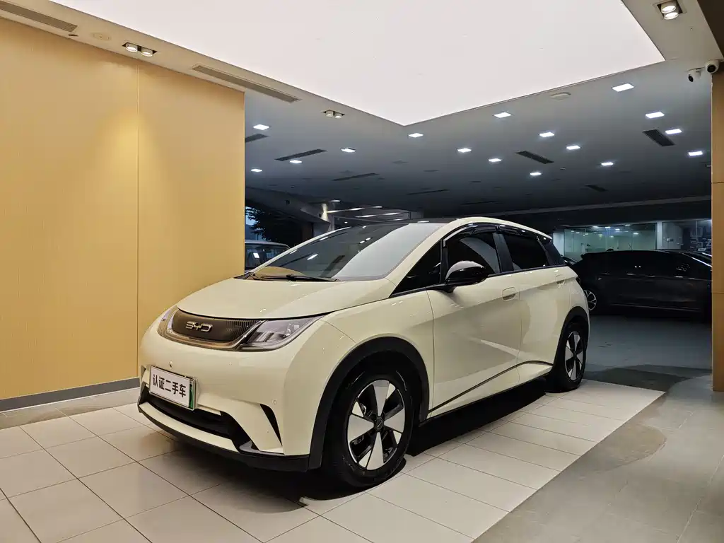 Byd Dolphin 2023