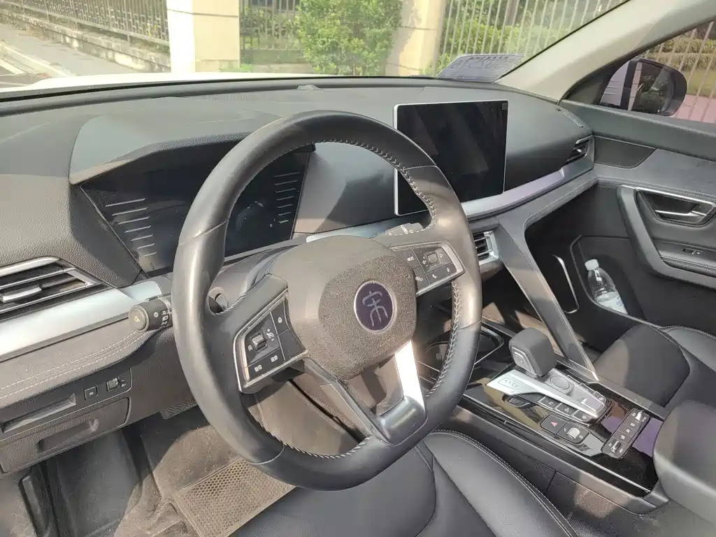 BYD Pro New Energy — миниатюра 10