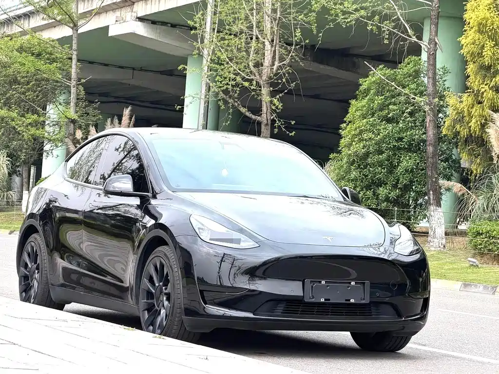 Tesla Model Y — миниатюра 3