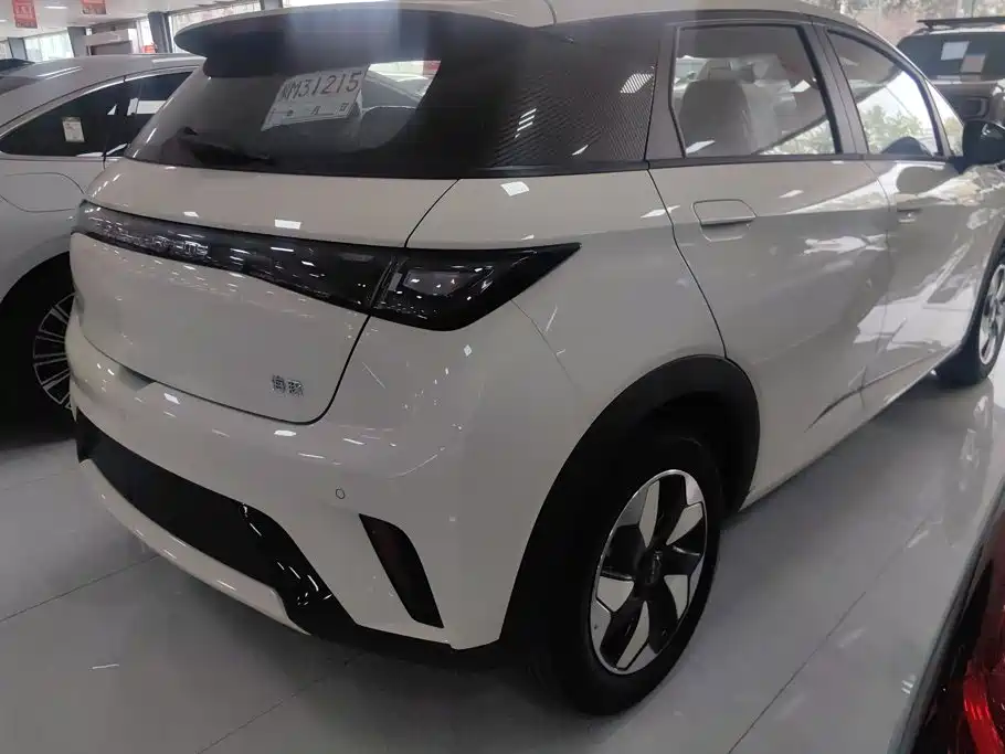 BYD Dolphin — миниатюра 3