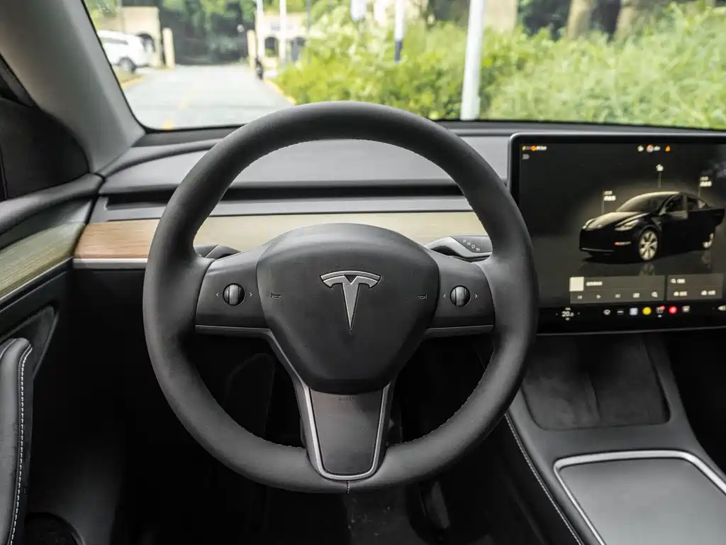 Tesla Model Y — миниатюра 6