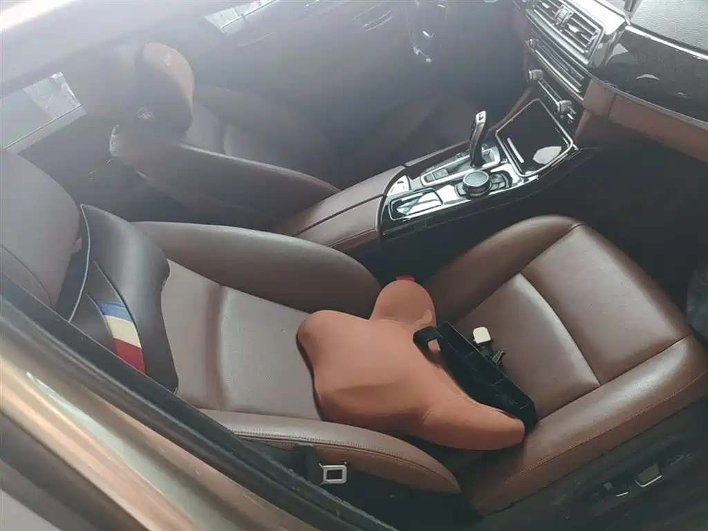 BMW 5 Series 5 2017 528Li Lead