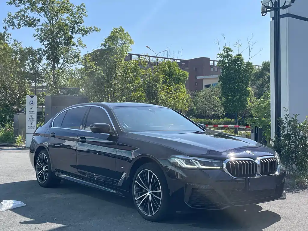 BMW 5 Series — миниатюра 3