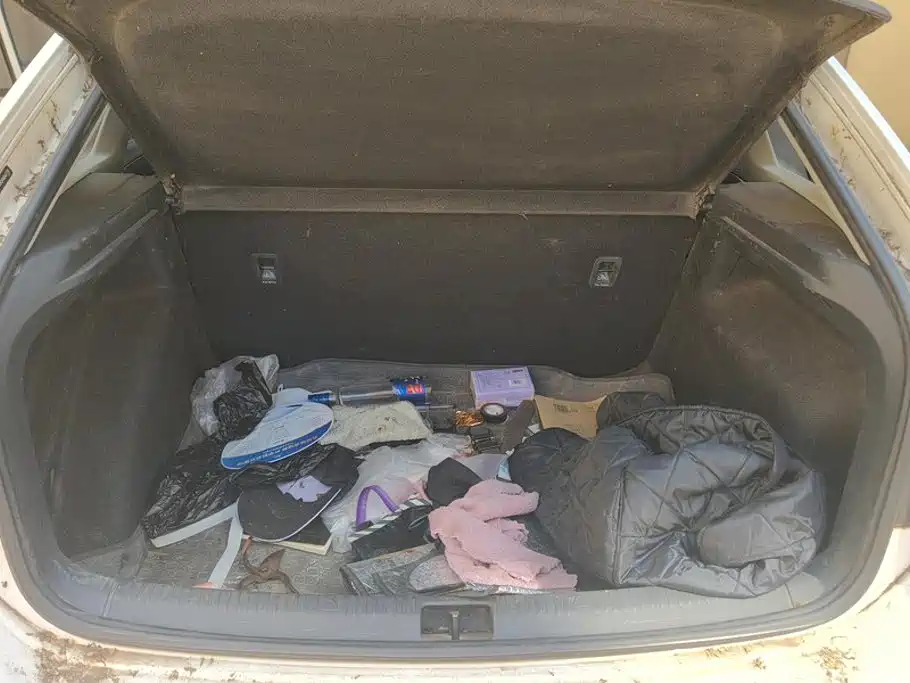 Volkswagen Santana — миниатюра 4