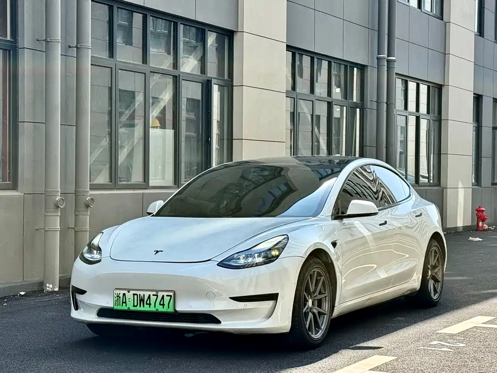 Tesla Model 3 2021