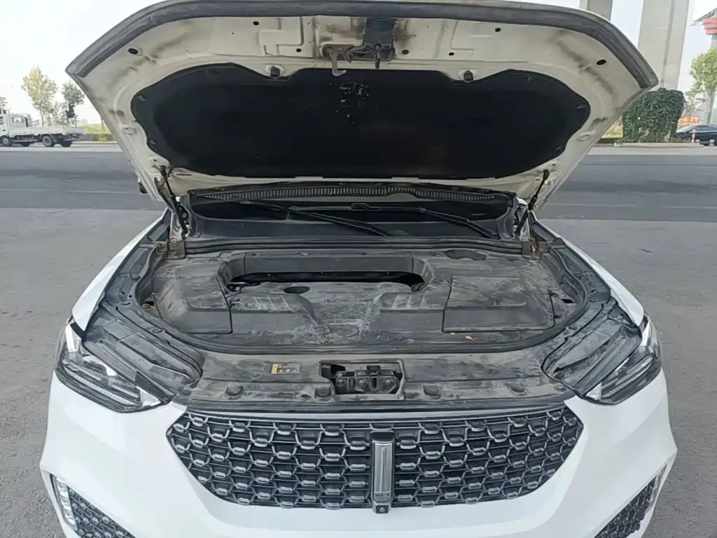 Wey Wey VV6 — миниатюра 20