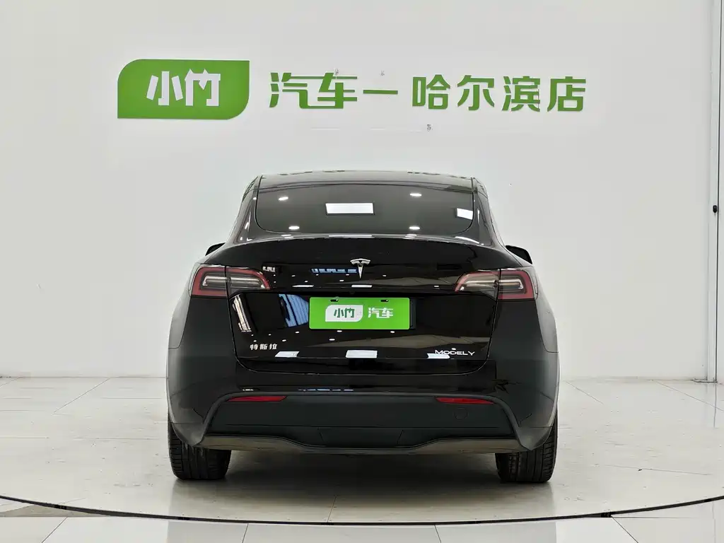 Tesla Model Y — миниатюра 6