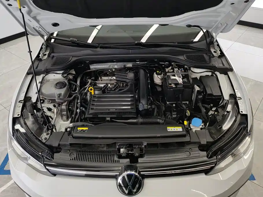 Volkswagen Golf 2021 280TSI DSG Pro