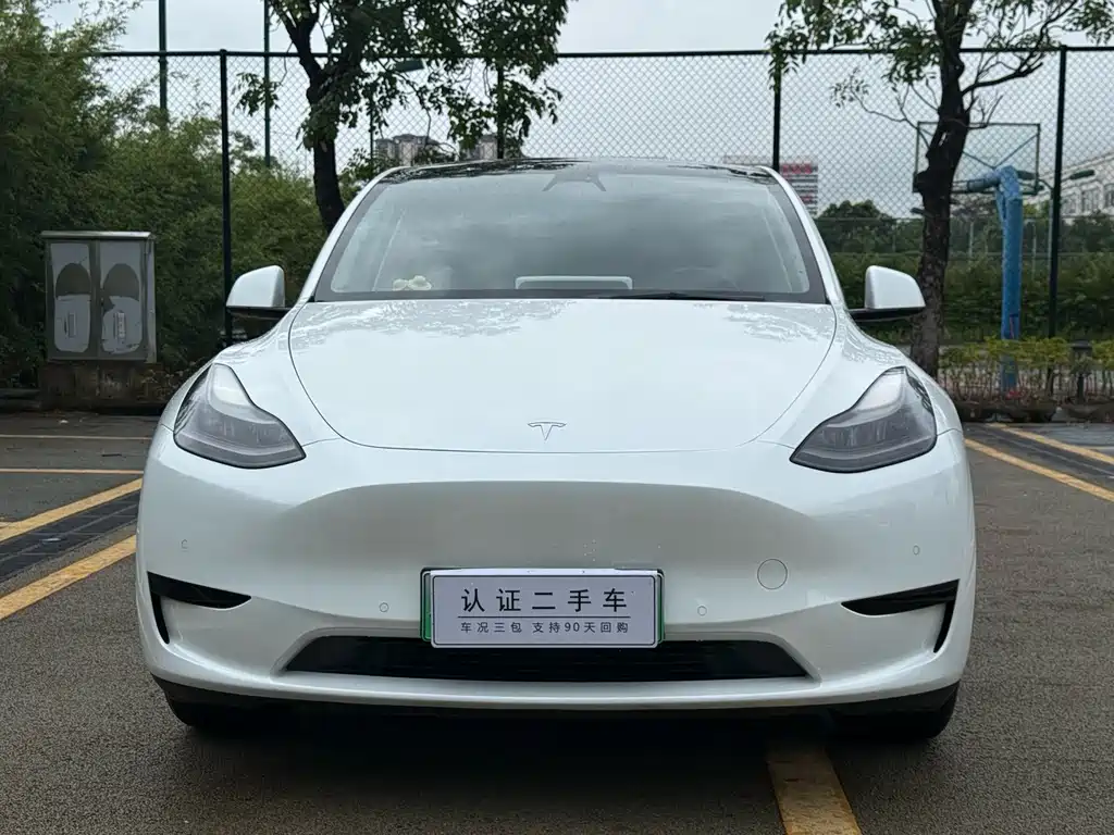 Tesla Model Y — миниатюра 2