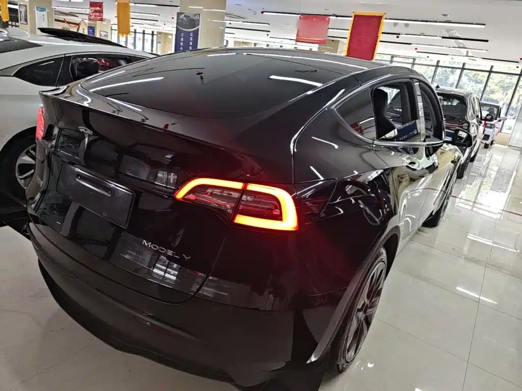 Tesla Model Y — миниатюра 7