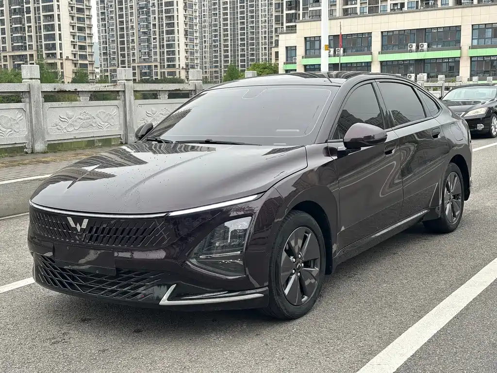 Wuling Xingguang 2024