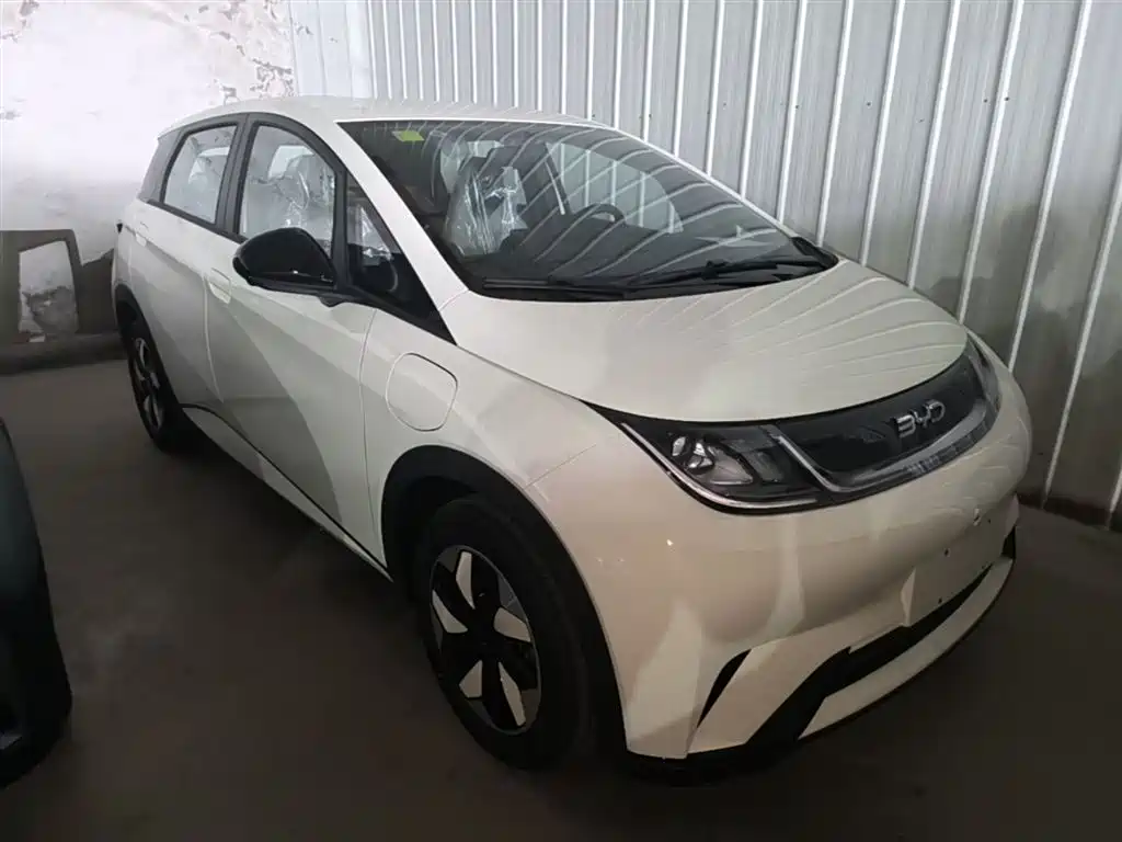 BYD Dolphin 2025 420km Freedom