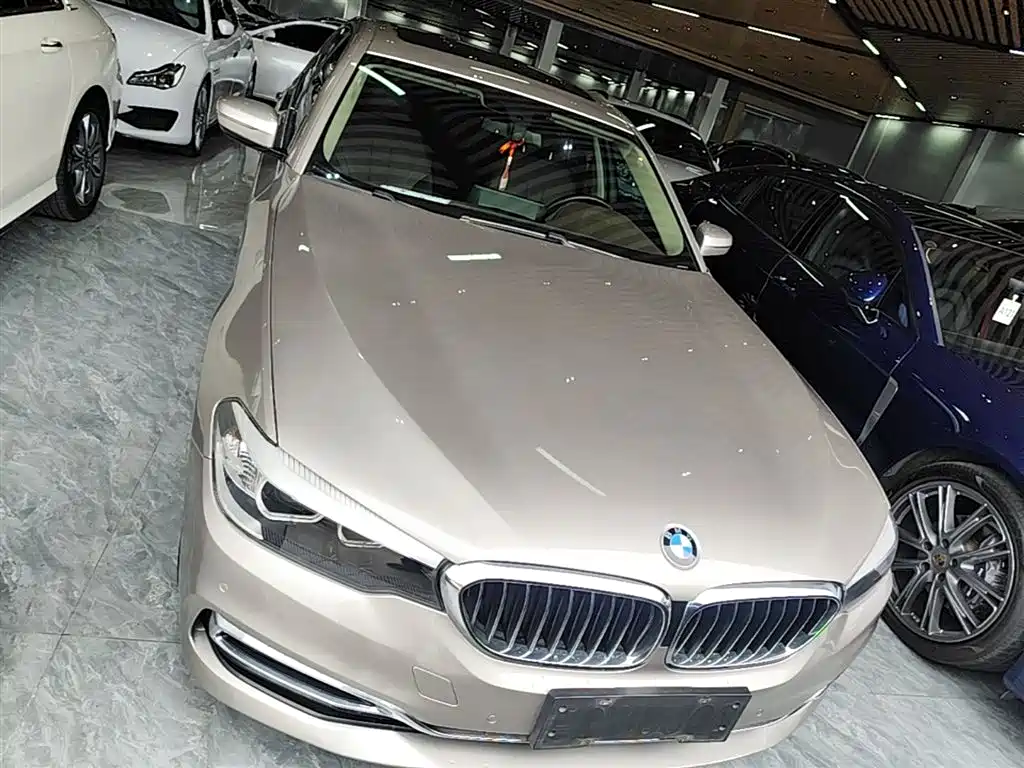 BMW 5 Series 5 2020 525Li Luxury