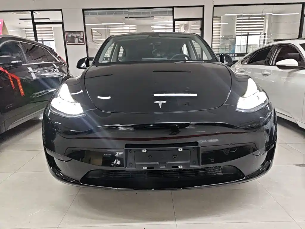Tesla Model Y — миниатюра 3