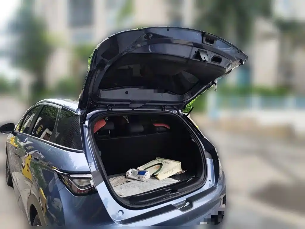 BYD Dolphin — миниатюра 15