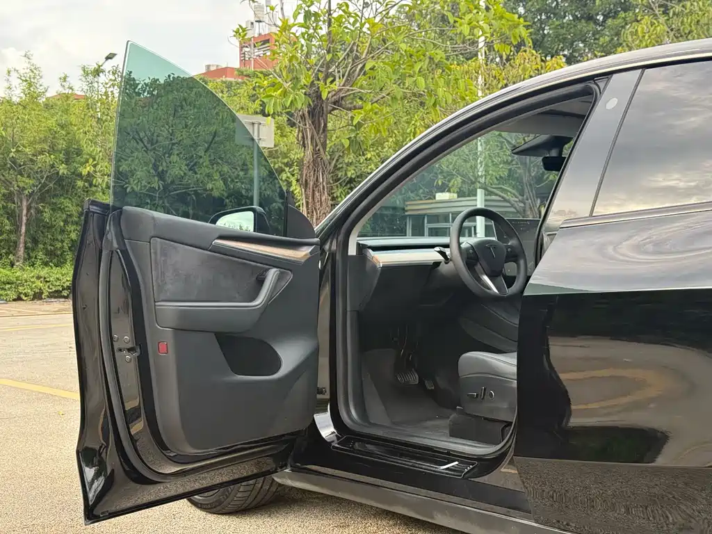 Tesla Model Y — миниатюра 12
