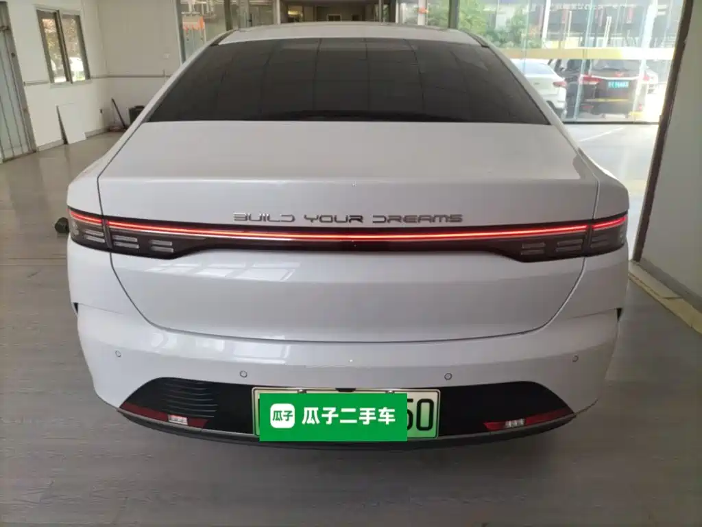 BYD Destroyer 05 2024 DM-i 55KM Luxury