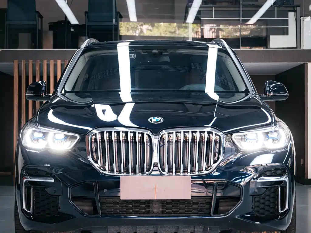 BMW X5 — миниатюра 2