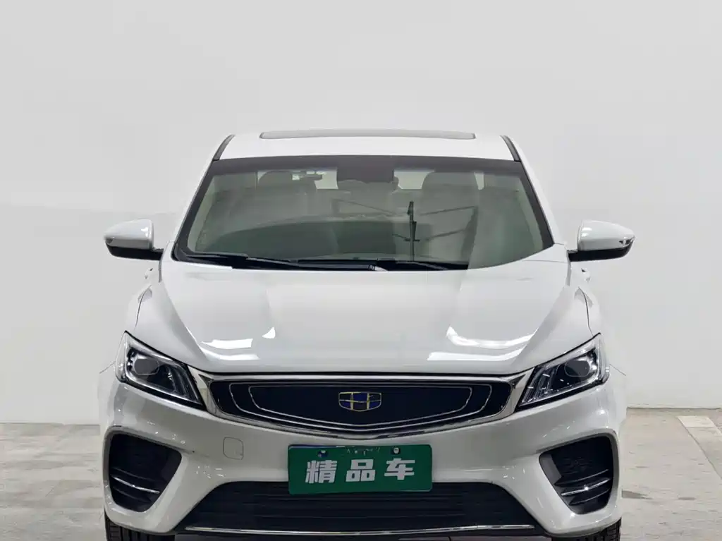 Geely Binrui — миниатюра 2