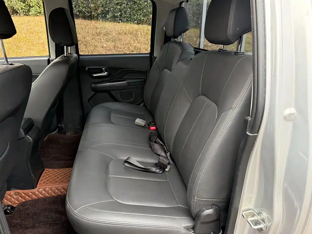 GREAT WALL FENGJUN 5