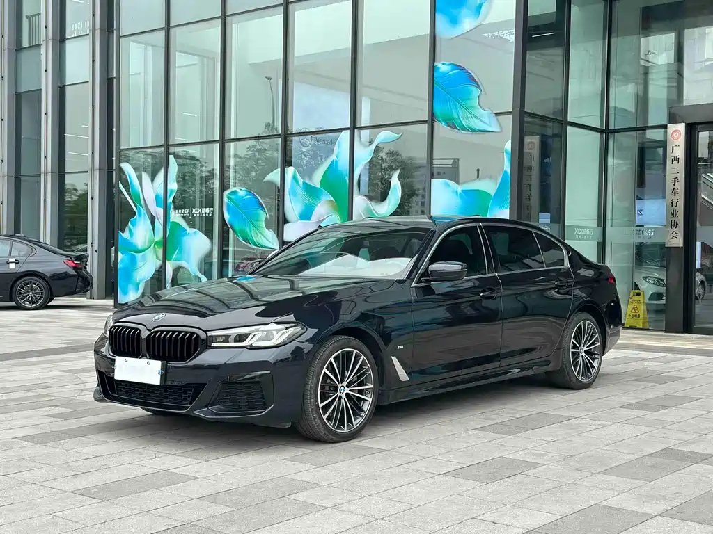 BMW 5 Series 2021