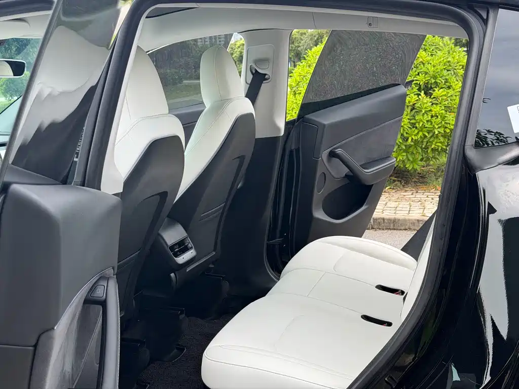 Tesla Model Y — миниатюра 14