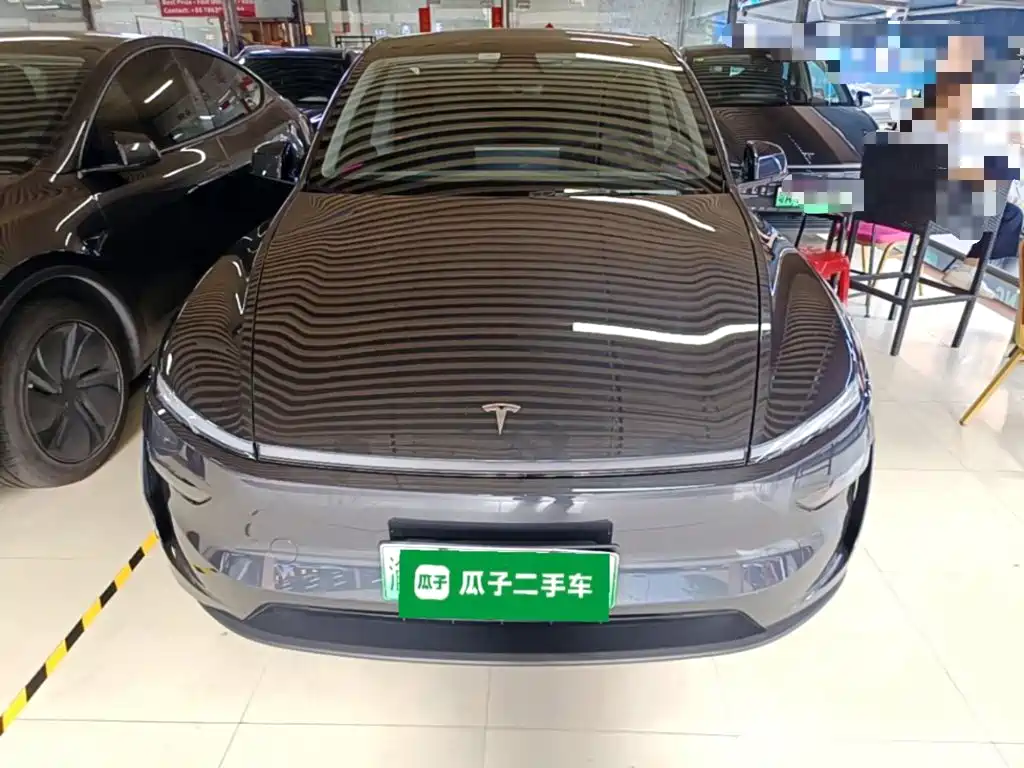 Tesla Model Y — миниатюра 3