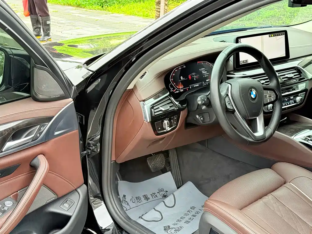 BMW 5 Series 5 2021 530Li Premium Luxury