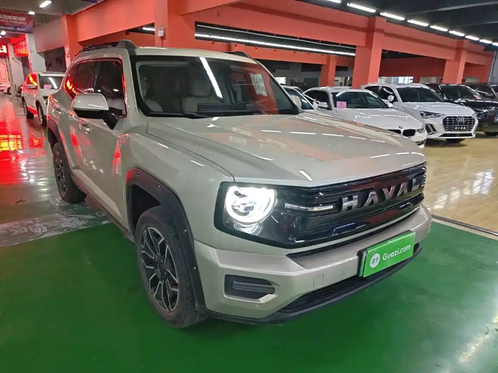 Haval Big Dog PLUS New Energy — миниатюра 4