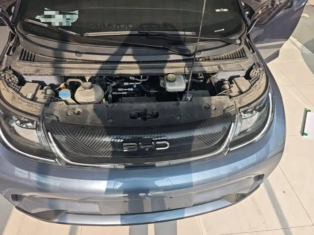 BYD Dolphin — миниатюра 20