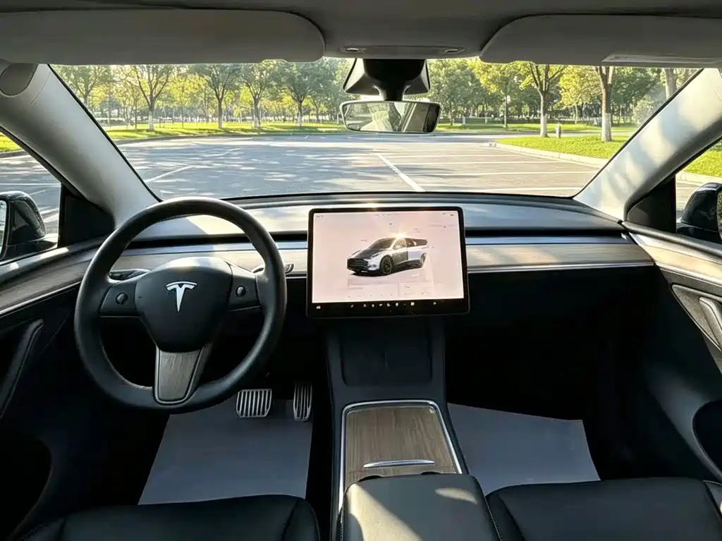Tesla Model Y — миниатюра 7