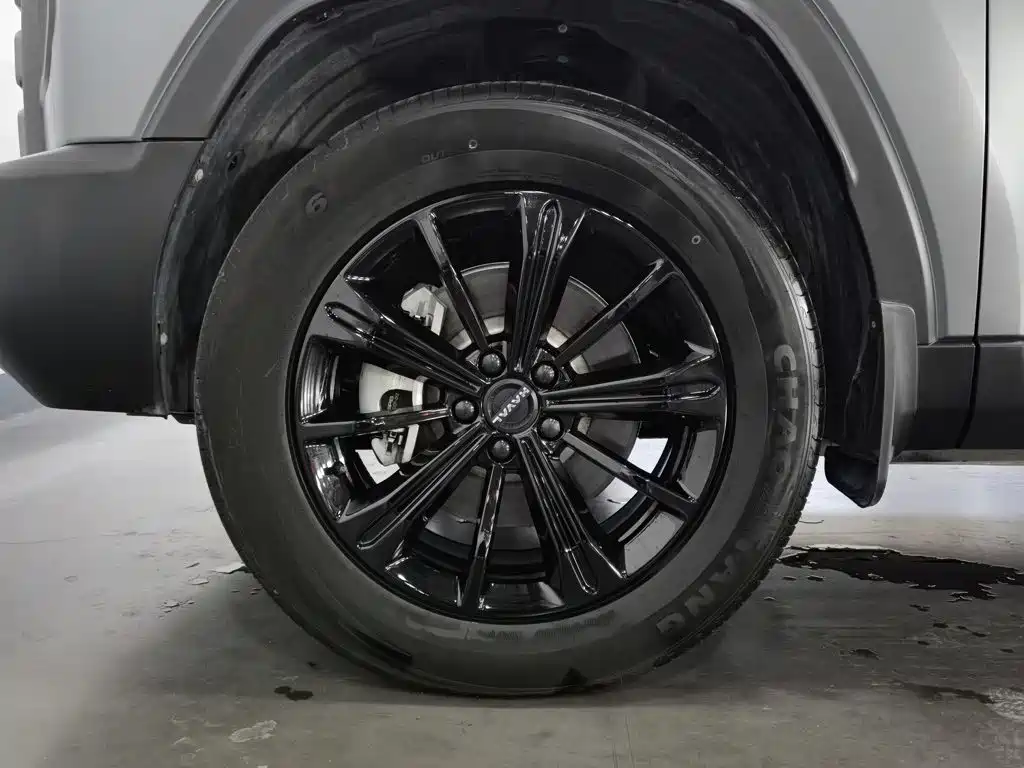 Haval Menglong New Energy — миниатюра 17