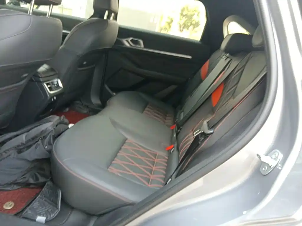 Haval Shenshou — миниатюра 17