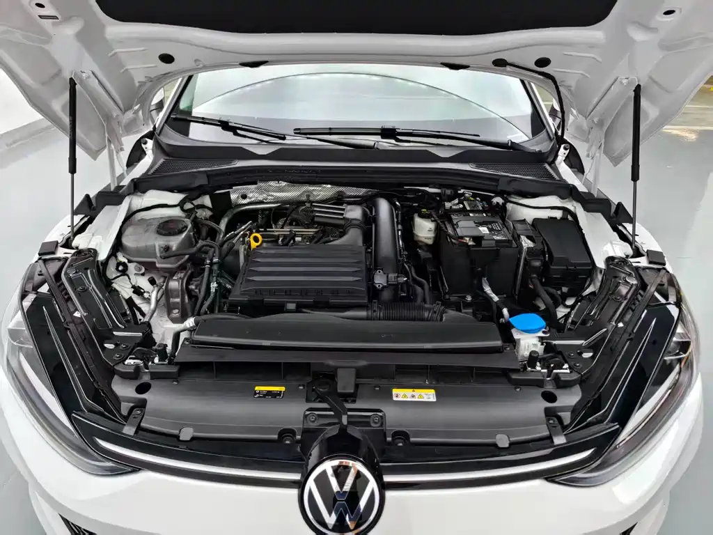 Volkswagen Lamando — миниатюра 23