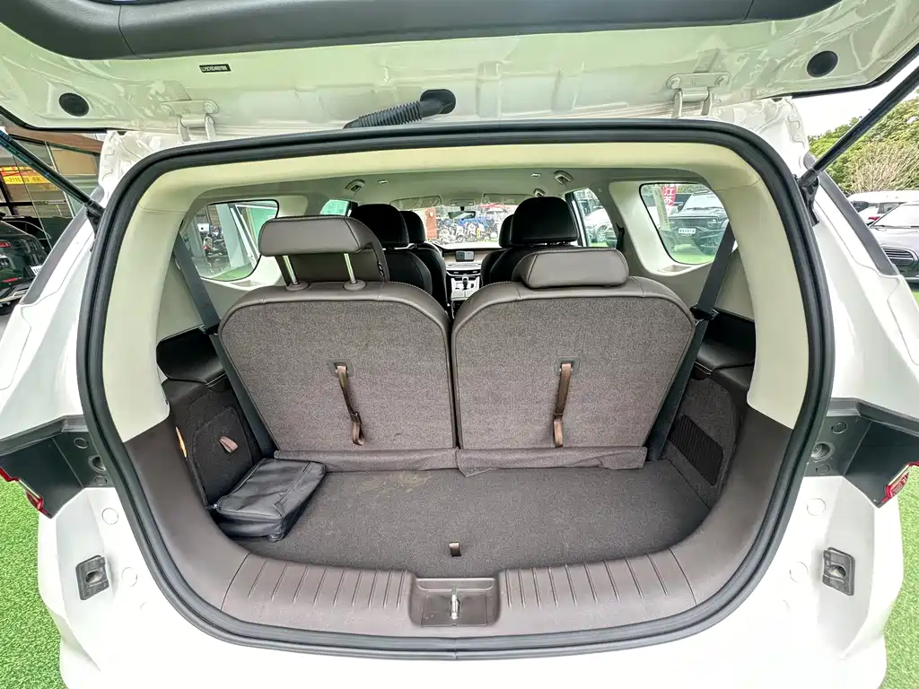 RUILAN AUTOMOBILE MAPLE LEAF 80V