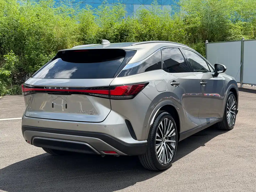Lexus RX New Energy — миниатюра 13