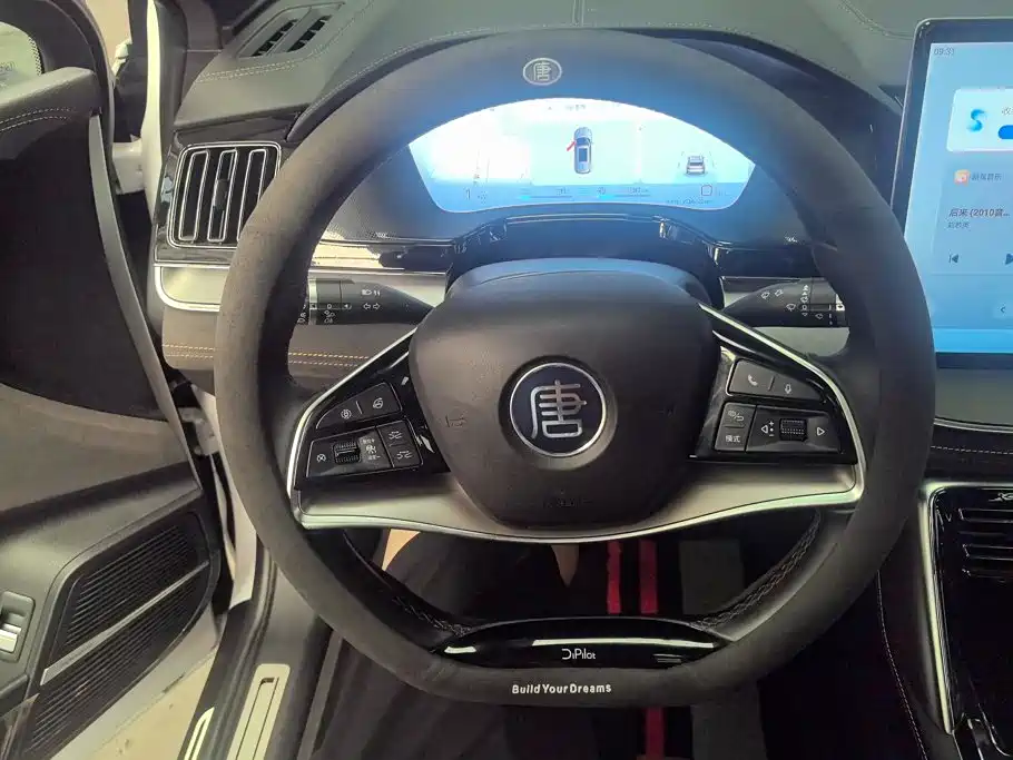 BYD Tang New Energy — миниатюра 15
